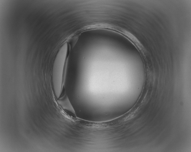 X0000082930857200702152145