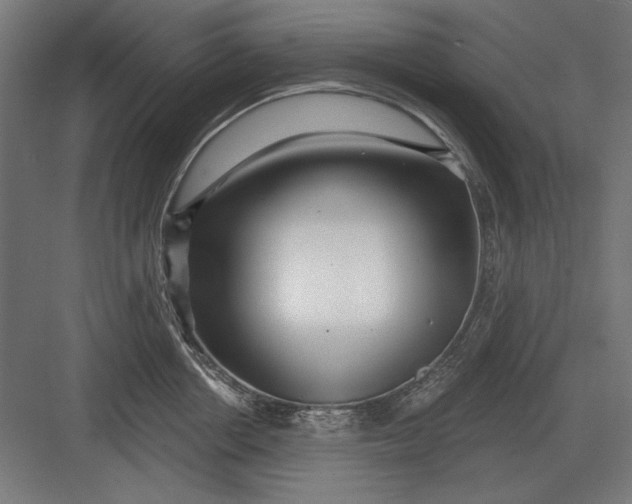 X0000082930858200702152145