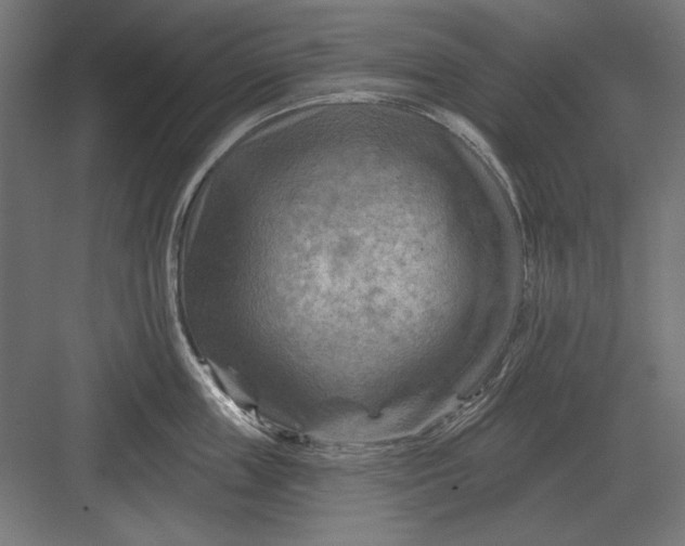 X0000082930859200702152145