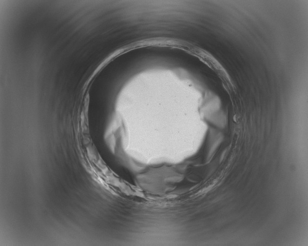 X0000082930860200702152146