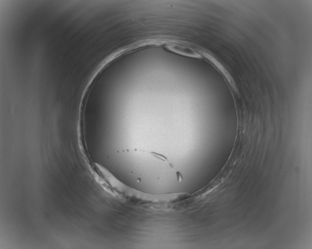 X0000082930861200702152146