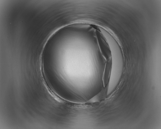 X0000082930862200702152146