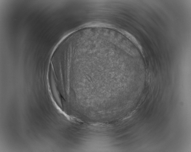 X0000082930863200702152146