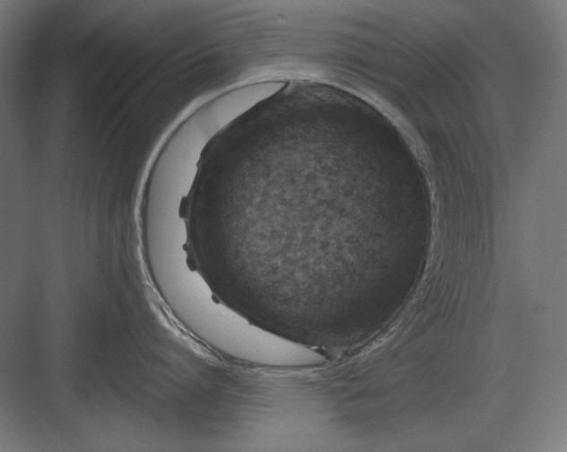 X0000082930864200702152146