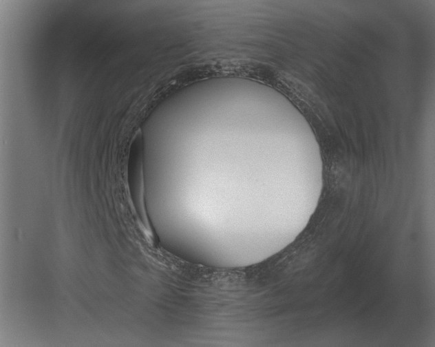 X0000082930865200702152145