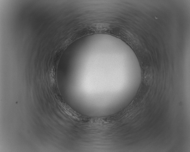 X0000082930866200702152145