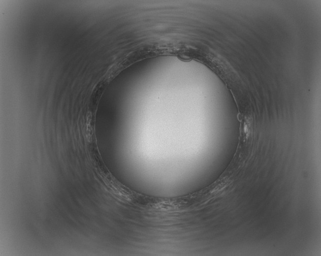 X0000082930867200702152145