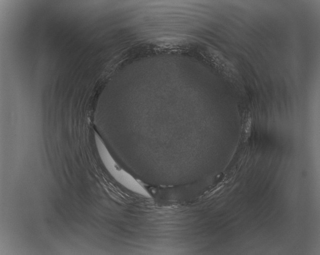 X0000082930868200702152145