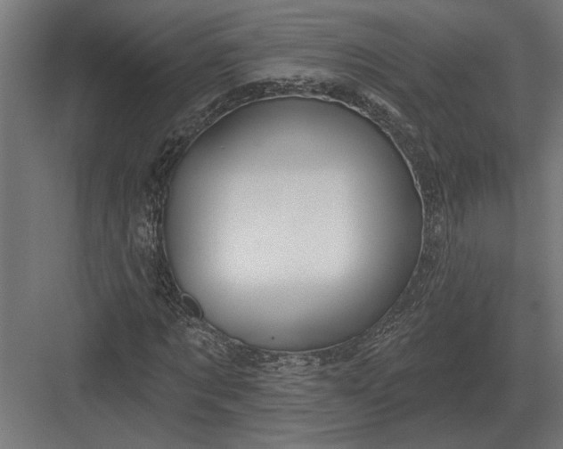 X0000082930869200702152145