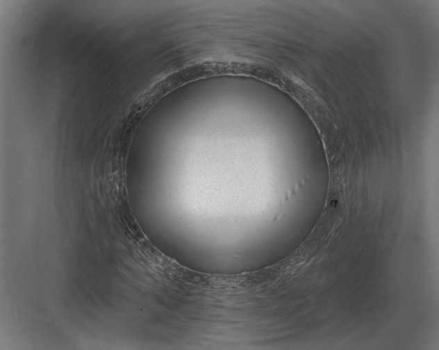 X0000082930870200702152145