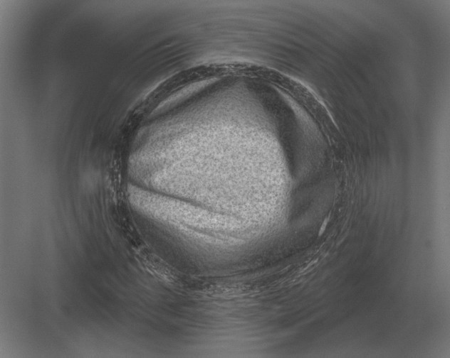 X0000082930871200702152145