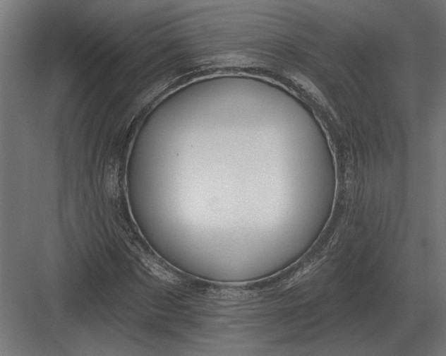 X0000082930873200702152145