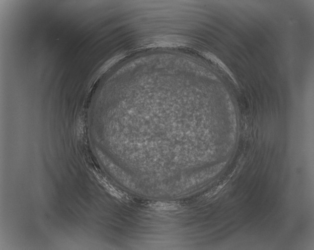 X0000082930874200702152145