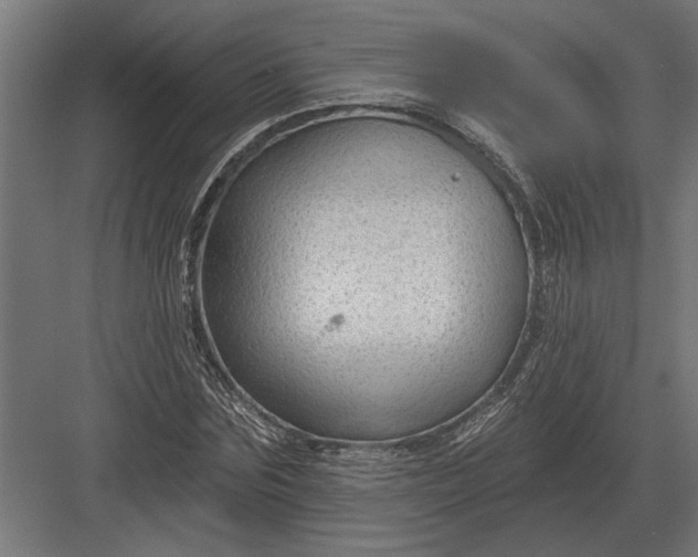 X0000082930875200702152145