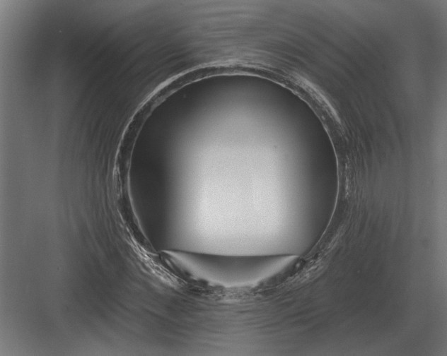 X0000082930876200702152145