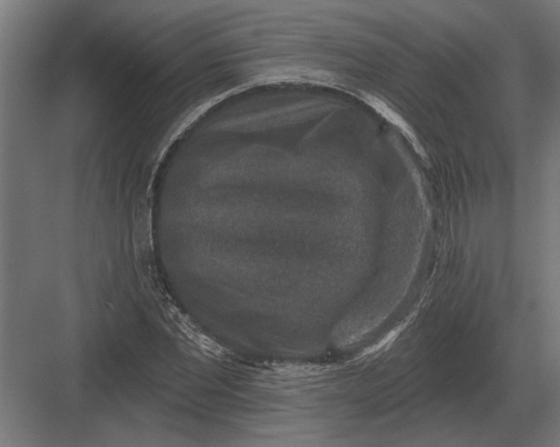 X0000082930877200702152145