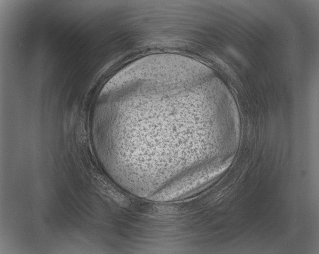 X0000082930878200702152145