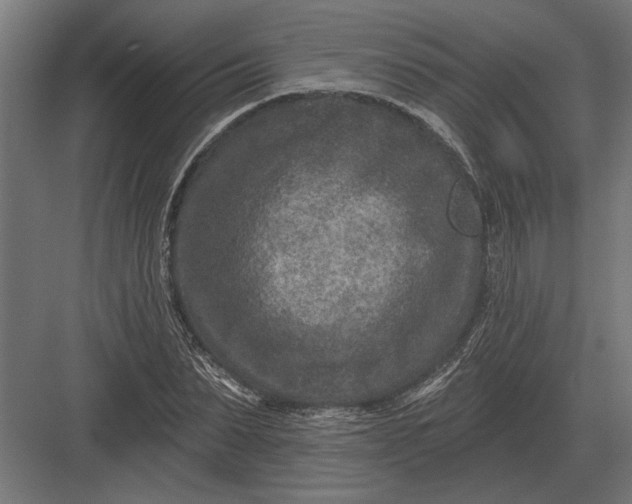 X0000082930879200702152145