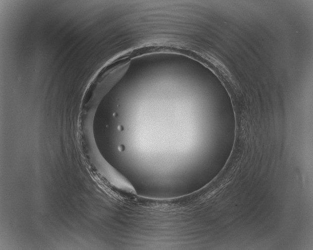 X0000082930880200702152145