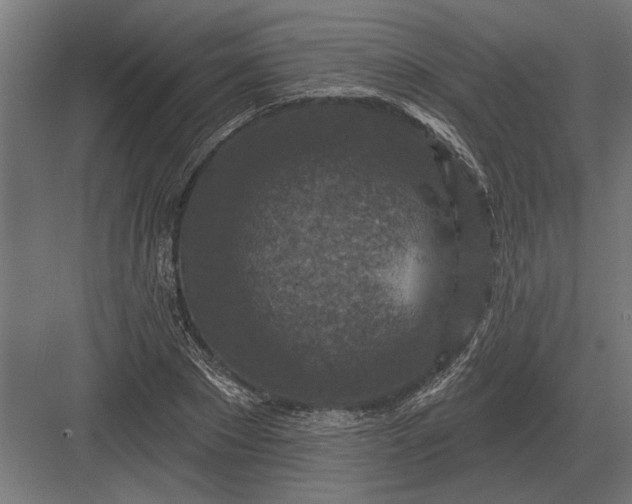 X0000082930881200702152144