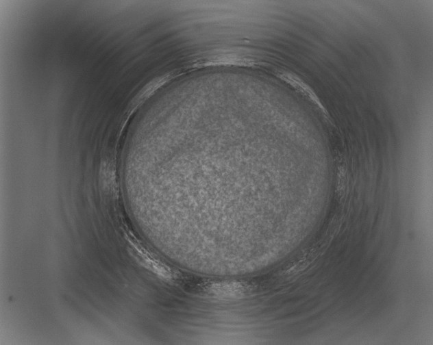 X0000082930882200702152144