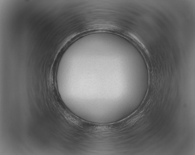 X0000082930883200702152144