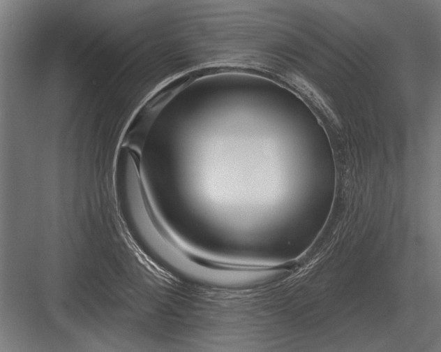 X0000082930884200702152144