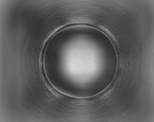 X0000082930885200702152144