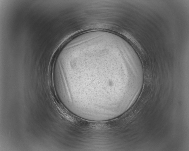 X0000082930886200702152144