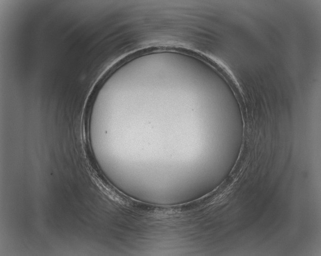 X0000082930887200702152144