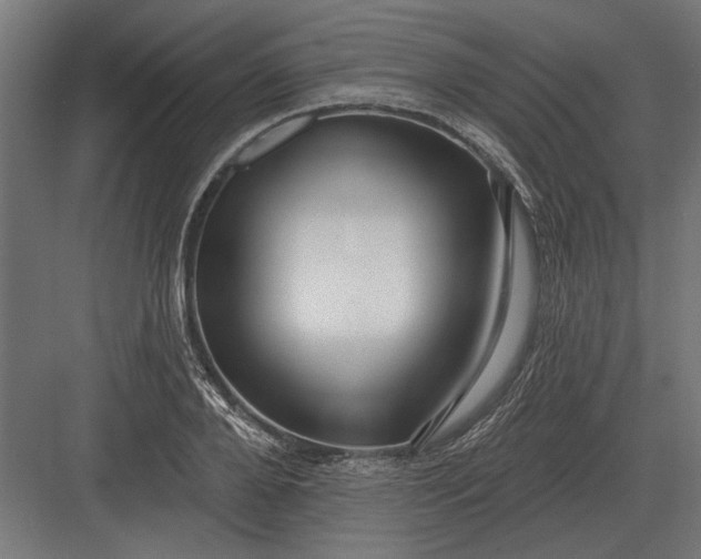 X0000082930888200702152144