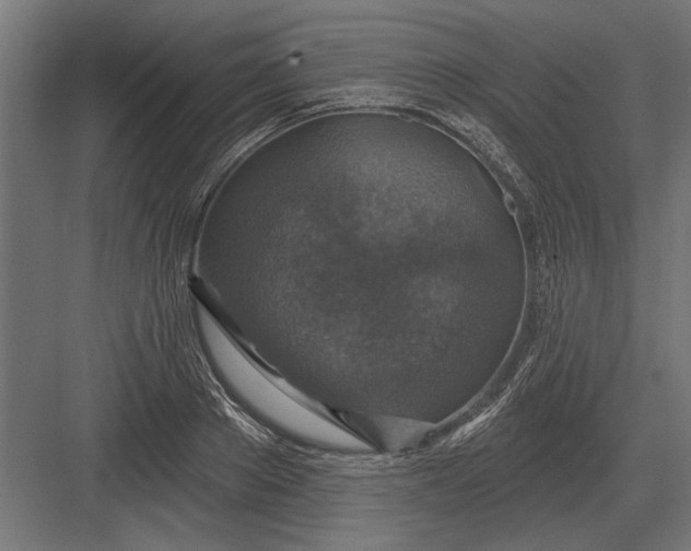 X0000082930889200702152144