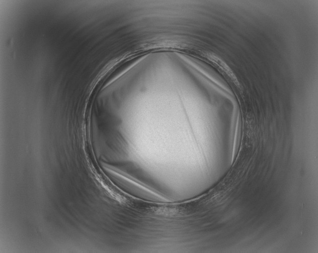 X0000082930890200702152144