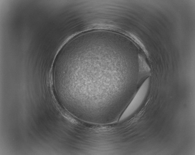 X0000082930891200702152144