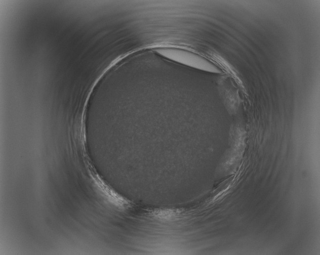 X0000082930892200702152144