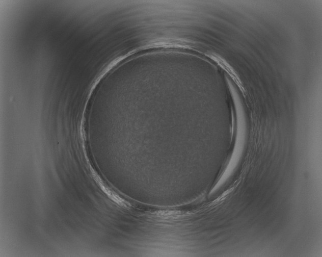 X0000082930893200702152144