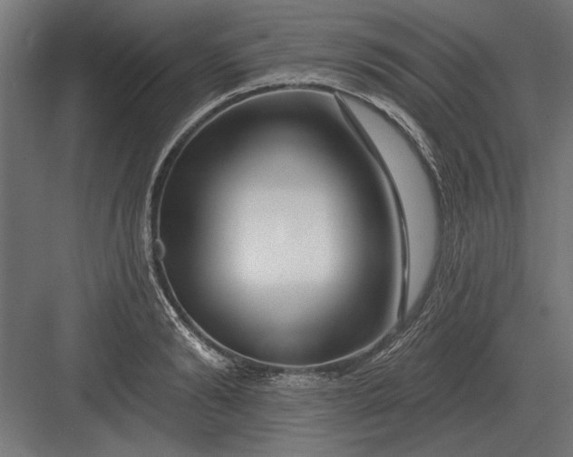 X0000082930894200702152144