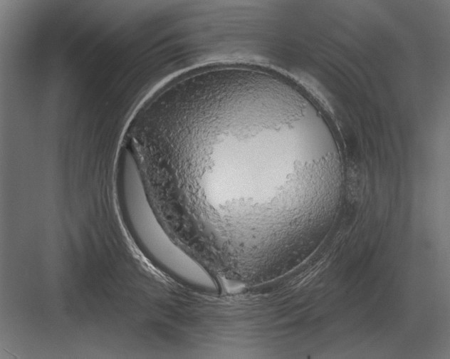 X0000082930895200702152144