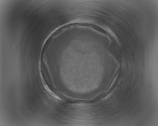 X0000082930896200702152144