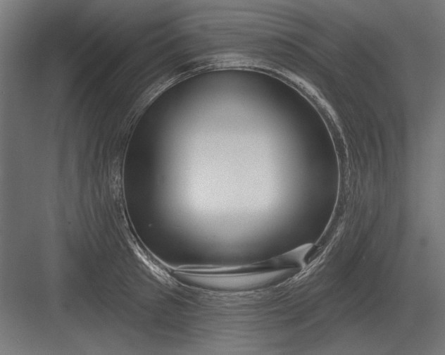 X0000082930897200702152144