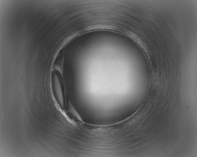 X0000082930898200702152144