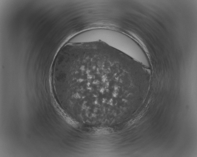 X0000082930899200702152144