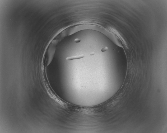 X0000082930900200702152144