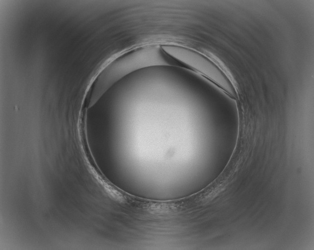 X0000082930901200702152144