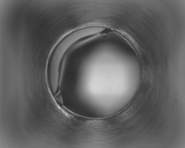 X0000082930902200702152144