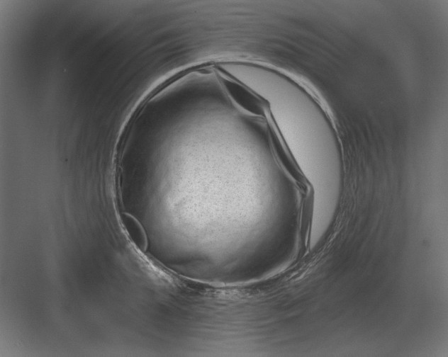 X0000082930903200702152144