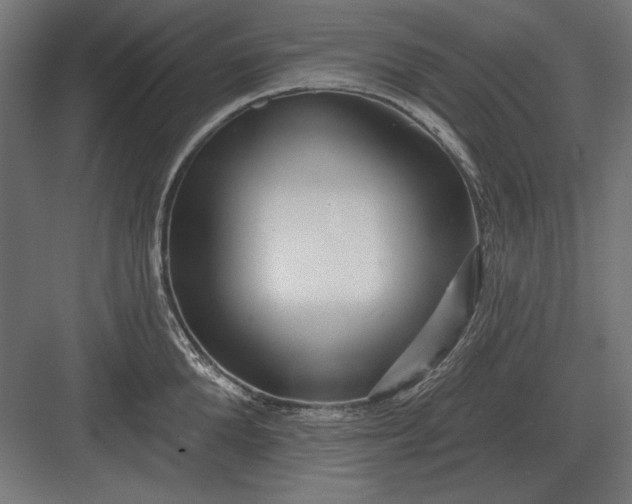 X0000082930904200702152144