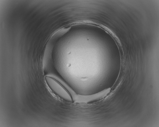 X0000082930905200702152144