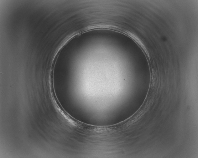 X0000082930906200702152144