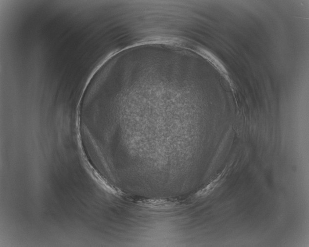 X0000082930907200702152144